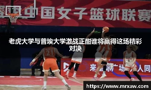 333体育官网