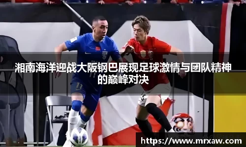333体育官网
