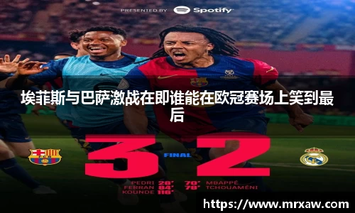 333体育