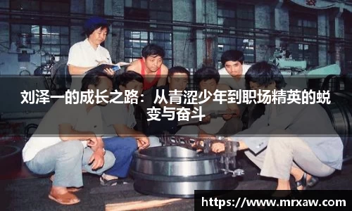 333体育官网